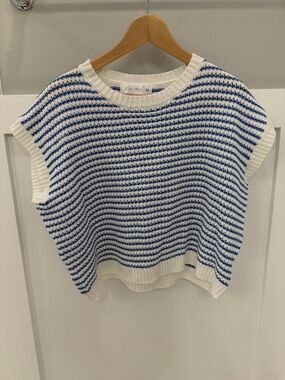 Knit Mix Blue & White Striped Sweater Vest - Medium